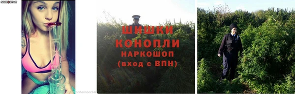 spice Горно-Алтайск