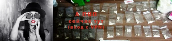 сатива Горнозаводск