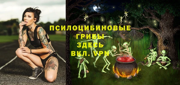 эйфоретик Горняк