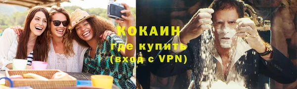 индика Тобольск