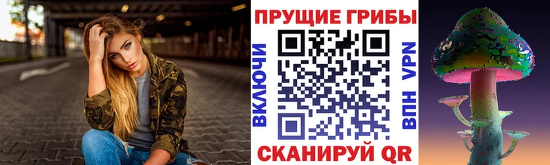 Галлюциногенные грибы прущие грибы  Элиста 
